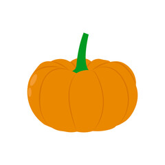 Pumpkin, Farming Flat Vector Illustration
