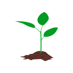 Green Spout, Farming Flat Vector Illustration
