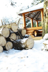 Snow-Covered Firewood Logs and Wooden Gazebo in Winter Forest