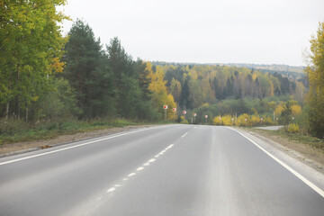 Empty Scenic Road Through Forest in Autumn with Foliage and Overcast Sky