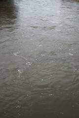 Murky River Water Flowing with Gentle Waves and Reflections in Overcast Weather