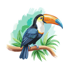 Fototapeta premium Toucan perched on a small Twig watercolor painting vector art design