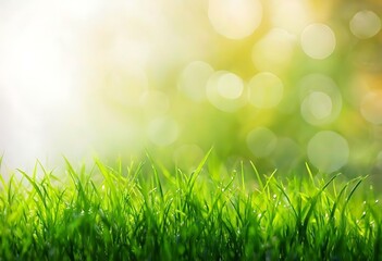 Fototapeta premium Close-Up Of Vibrant Lush Green Grass Under Sunlight