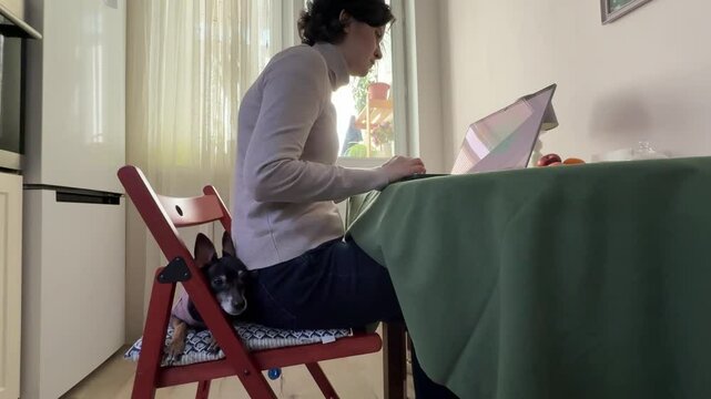 
Almaty, Kazakhstan - 02.02.2025 : A woman is sitting at her laptop, with her dog, in the kitchen. Work from home.