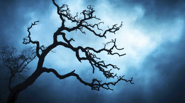 surreal tree silhouette against moody blue sky evokes mystery and intrigue