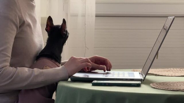 
Almaty, Kazakhstan - 02.02.2025 : A woman is sitting at her laptop, with her dog, in the kitchen. Work from home.
