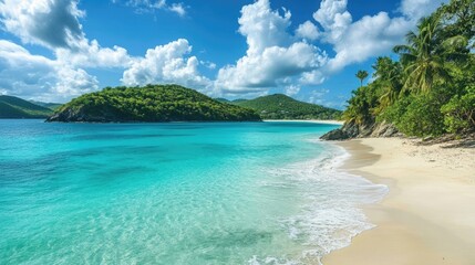 Obraz premium Sandy shores with tropical foliage meeting turquoise waters