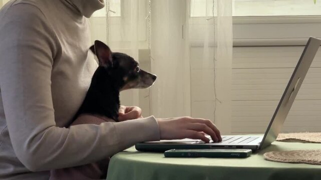 
Almaty, Kazakhstan - 02.02.2025 : A woman is sitting at her laptop, with her dog, in the kitchen. Work from home.