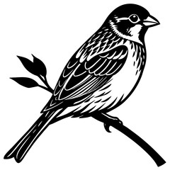Sparrow on a branch with a chest silhouette vector illustration 