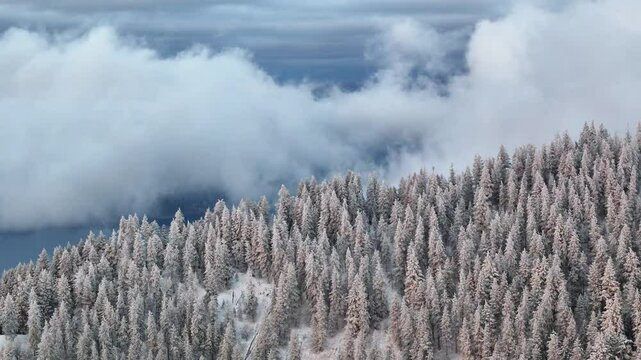 Aerial view of snow covered trees along Canfield Mountain, Hayden Lake, and Hayden