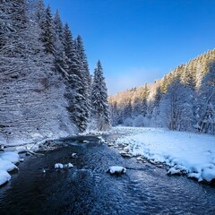 nature snow beautiful winter landscape with a river with forest 