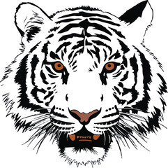 Tiger Head Vector Illustration 