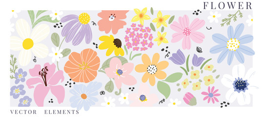 set of small flower spring and summer. Botanical illustration minimal style.