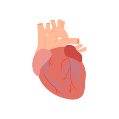 Heart, Cardiovascular Disease Illustration Icon