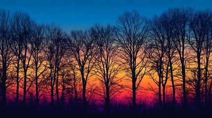 Fototapeta premium Silhouette Trees Against Vibrant Sunset Sky