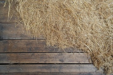 Hay residue on wooden floor farm setting nature photography rustic atmosphere