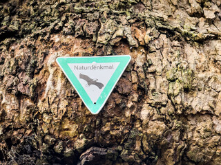 Ein alter Baum mit einem Schild Naturdenkmal in einem Park in Hilden, Deutschland
