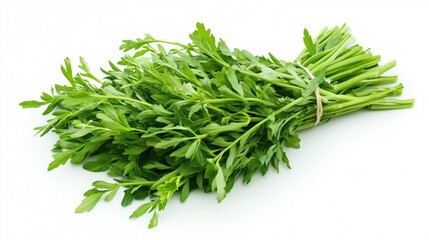 Fresh green parsley bunch with vibrant leaves on white background
