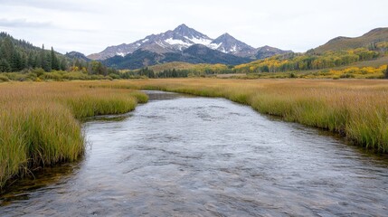 Obraz premium Mountain Stream Autumn Landscape (1)