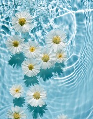 清涼感のある背景、壁紙（抽象的な花と水面、水中の画像）