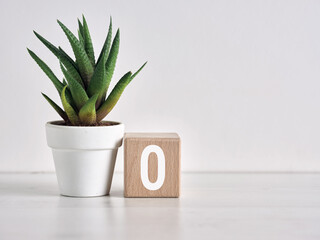Zero number on wooden cube with succulent plant representing new beginning