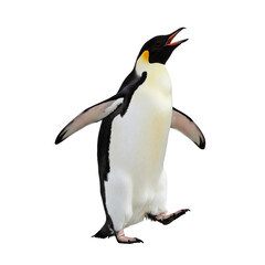 Obraz premium Charming penguin dancing on a clean white background—perfect for adding whimsy and joy to your creative projects