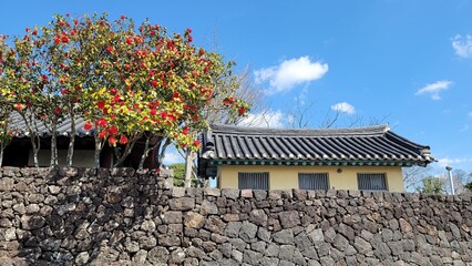 제주/ Korea