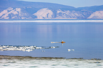 Baikal Lake in May. View from shore of Olkhon Island to ice drift on Small Sea on spring day. White ice floes on sandy beach. Birds have returned from their southern wintering. Spring travel, outdoors
