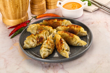 Japanese fried Gyoza stuffed dumplings