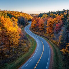 Winding road through autumn foliage, scenic drive, fall colors, aerial view, travel photography