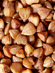 A close up of a bunch of small brown seeds