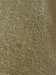 Clear shallow seawater gently washing over a sandy beach, revealing small seashells and a tiny starfish. Sunlight creates rippling reflections on the sand beneath the water.