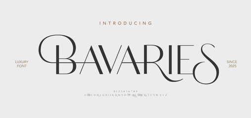 Elegant Modern beauty font alphabet logo. Typography beautiful luxury minimal elegant serif fonts fashion wedding vintage retro logos. vector illustration