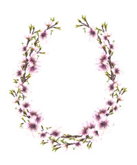 Almond tree spring branch with leaves, buds and flowers. Botanical wreath, oval frame. Watercolor illustration hand drawn floral clipart. Template for card, cosmetic label Isolated from background.