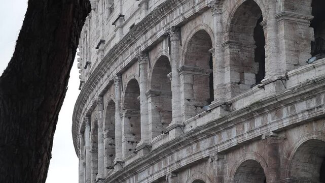 Rome coliseum arches. High quality slow motion FullHD footage
