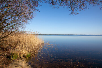 summer landscape on Lacanau wild beach lake on the sandy beach