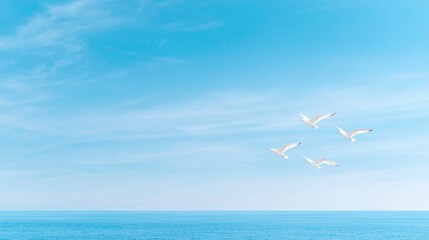 Naklejka premium Seagulls flying over calm ocean, blue sky background; travel postcard