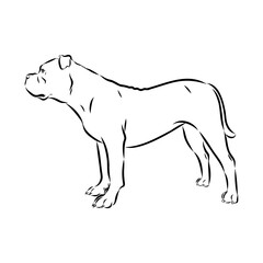 Alapaha Blue Blood Bulldog silhouette design