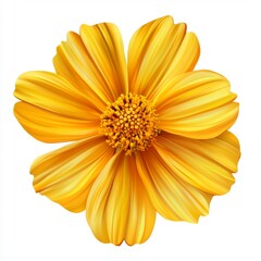 Obraz premium Bright Yellow Flower with Petals in Bloom on White Background for Nature and Floral Photography