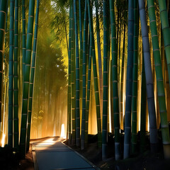 Obraz premium A tranquil evening scene of Kyoto's Arashiyama Bamboo Grove with sunlight filtering through the tall bamboo stalks
