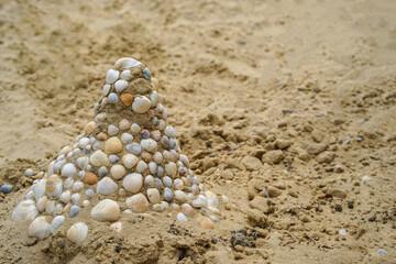 A small slide of sand with shells.