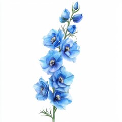 Fototapeta premium Delicate Blue Flowers Blooming Gracefully on a White Background for Floral Design Inspiration