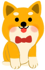 Fototapeta premium 시바견