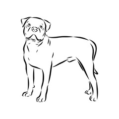 Alapaha Blue Blood Bulldog silhouette design