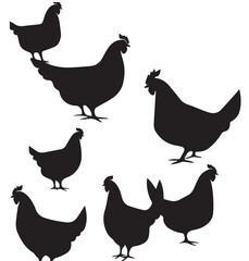 hen vector icon set. Farm illustration sign , hen silhouette isolated on white background. vector, Farm animals - white chicken - isolated on white background black hens silhouette   © Zohan