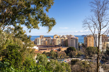 Photo looking through trees at city of Malaga in Spain showing the famous old historic bull...