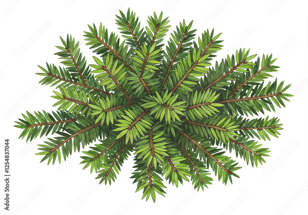 Poster watercolor tree or forest side view isolated on white background for landscape and architecture draw