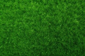 A green lawn backgrounds grass plant.