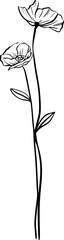 Flower Linear Illustration