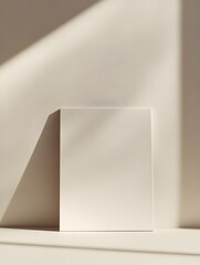 A minimalistic art space with a blank white canvas framed in thin black on a neutral background.